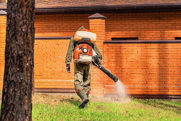 Trusted Rodent Control service in Kentland, IN - Nex Pest Control